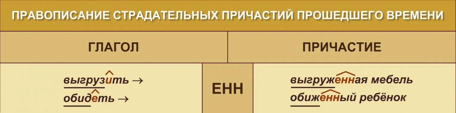 Страдательное причастие прошедшего времени от глагола зависеть. Правописание страдательных причастий прошедшего времени. причастный оборот с страдательным причастием прошедшего времени.