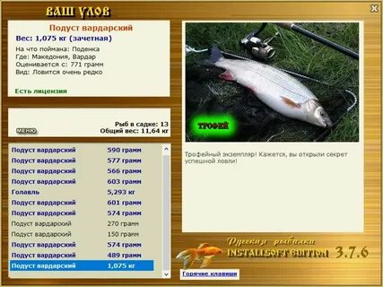 Волжский подуст реальная рыбалка