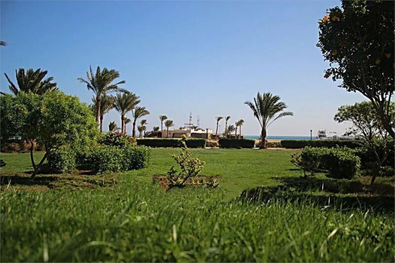 Magawish swiss inn resort здание амфитеатр фото Magawish Swiss Inn 4* Отели Хургада Єгипет Описание, отзывы, рейтинги, фото отел