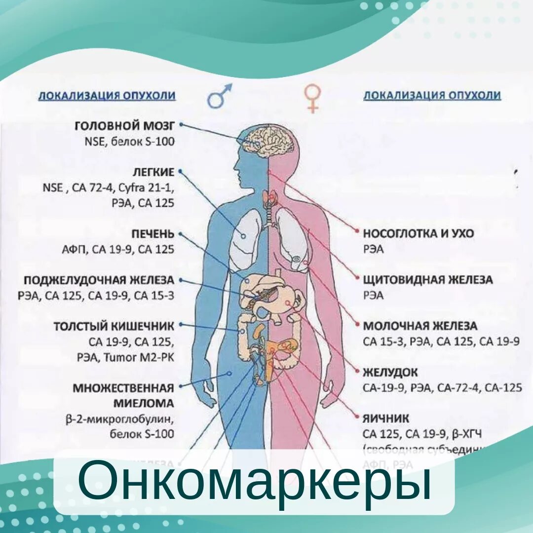 Какие есть онкомаркеры