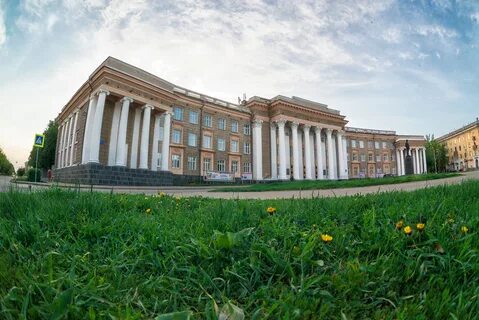 Цветы черниковка