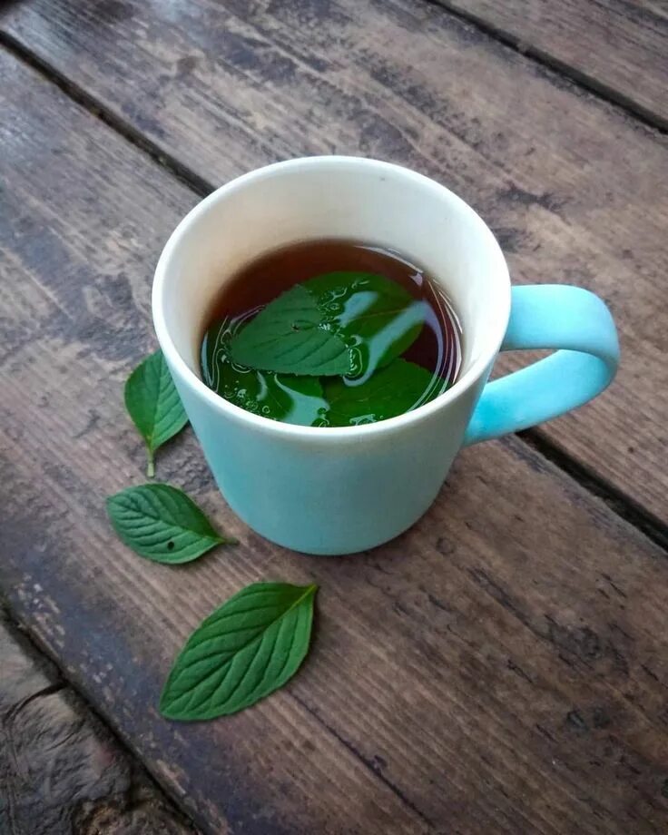 Зеленый чай вечером. Чай с мятой. Кружка чая с мятой. Эстетика чая с мятой. Чашка мятного чая.