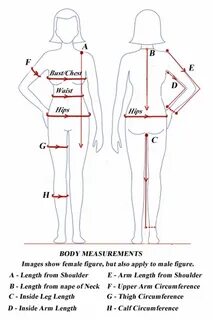 uk body measurements - www.newmax.ru.