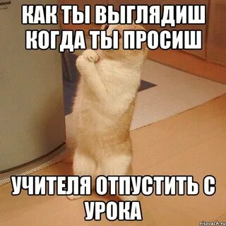 Учитель не отпустил ученика в туалет
