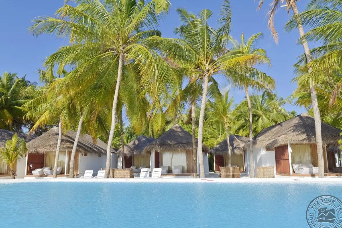 Island resort 4. Thulhagiri island resort 4. мальдивы thulhagiri. остров мальдивы thulhagiri island. thulhagiri island resort 4*, мальдивы, северный мале атолл.