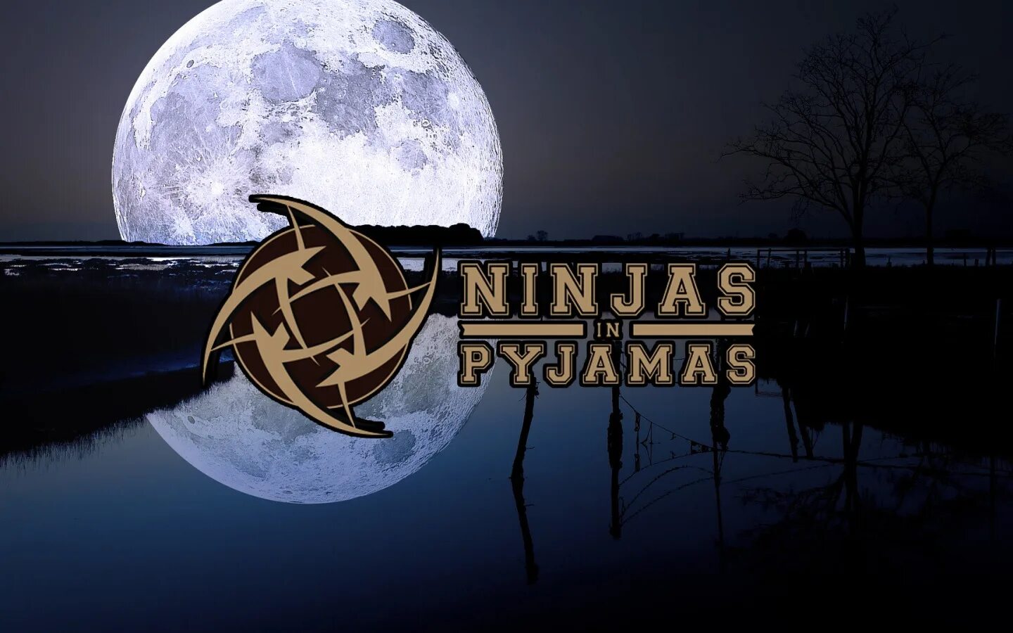 Cs moon. Ninjas in Pyjamas (голографическая) | Берлин 2019. Ninjas in Pyjamas Wallpaper. Ninja in Pyjamas на обложку. Ninjas in Pyjamas 2012.