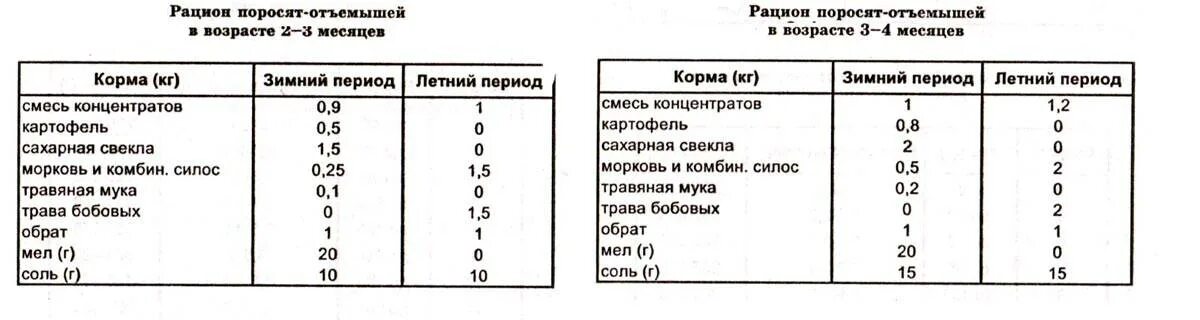 Чем кормить поросят в 1. Рацион поросят отъемышей. Нормы кормления поросят отъемышей. Рацион кормления поросят отъемышей. Рацион питания 1.5 месячного поросенка.