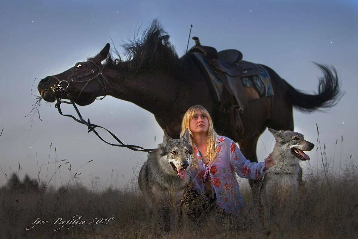 Кони сказки девочку. Лошадь и волк. Девушка конь и волк. Верхом на волке. Девушка на коне и волки.