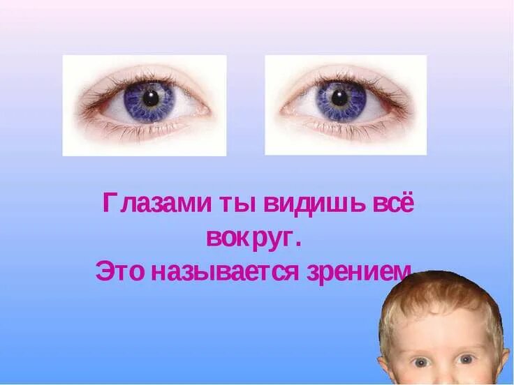 Органы чувств человека глаза. Загадка про глаза. Загадка про глаза для детей.