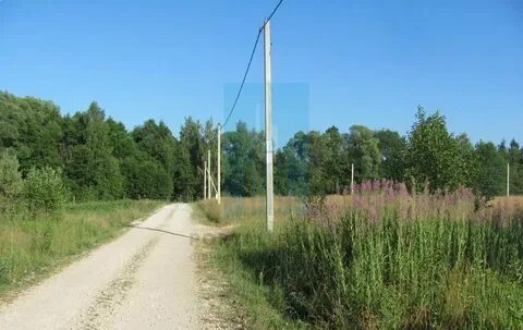 Погода в филипповском чеховский