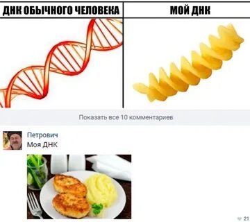 Моя днк говорит что я люблю тебя