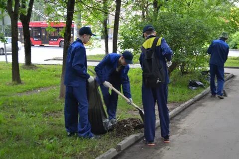Трудовая кампания