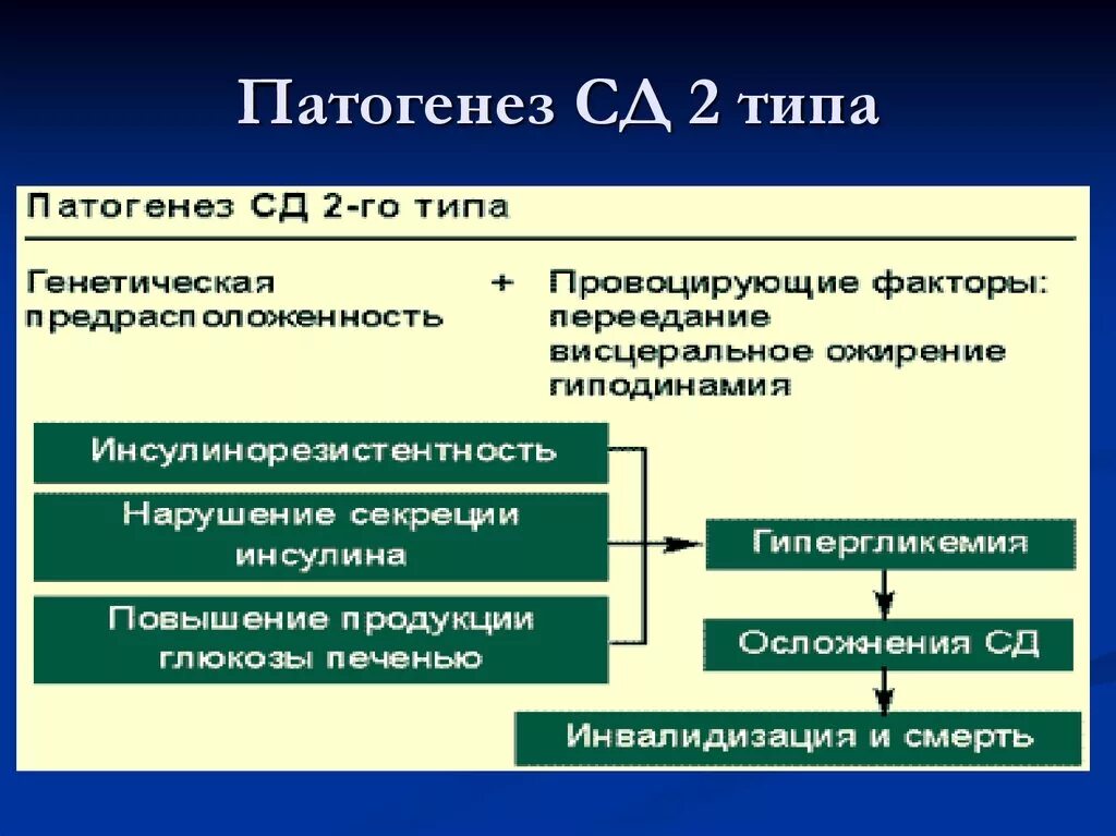 Этиология СД 2 типа. Механизм развития сахарного диабета 2 типа. Звенья патогенеза СД 2 типа. Сахарный диабет 1 типа. Этиология СД 1 типа.