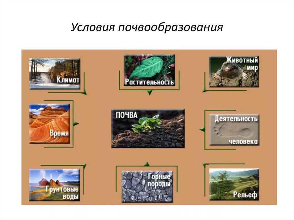 Почва ее состав и строение. Почвенный горизонт это в географии 8 класс. Образование почвы 8 класс. Строение почвы. Почвы 8 класс видеоурок.