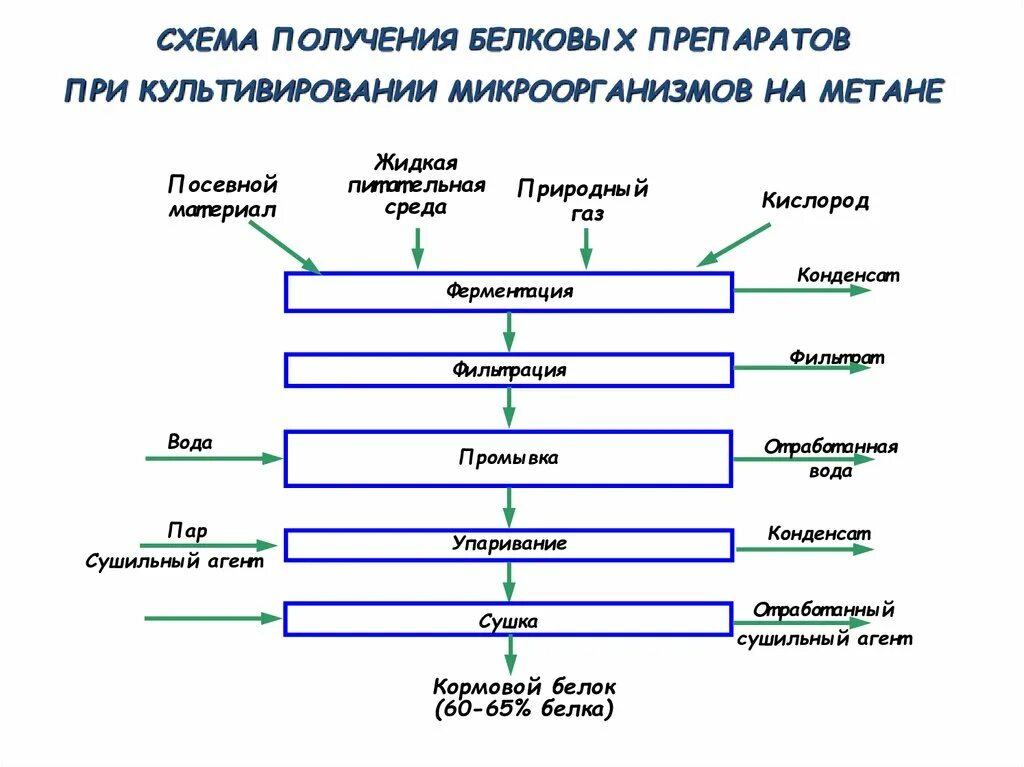 Этапы выделения белков. Технологическая схема производства гаприна. Схема производства растительного белка. Технологическая схема получения микробного белка. Технологическая схема производства микробного белка.