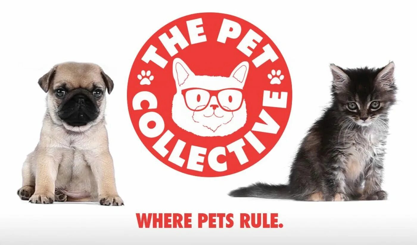 Say the pets. The Pet Collective. Надпись Pets. Символ Pet услуги. Картинка keep Pets.