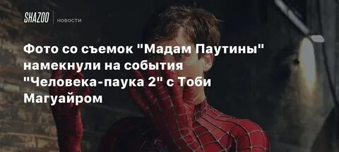 Мадам паутина сборы
