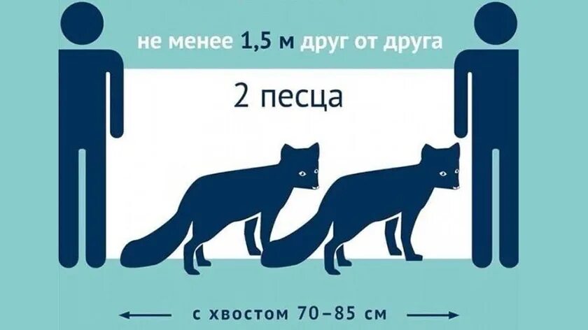 Соблюдайте безопасное расстояние. Дистанция картинки. дистанция 1.5 метра. соблюдайте дистанцию. социальная дистанция рисунок.