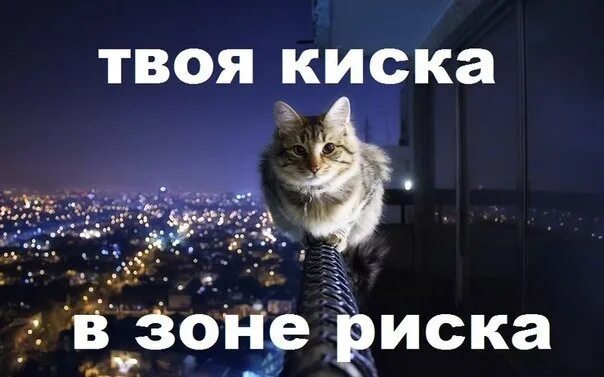 Песни киской я буду твоей. Риски мемы. Кот мурчик. Песни киской я буду твоей. Песни киской я буду твоей.