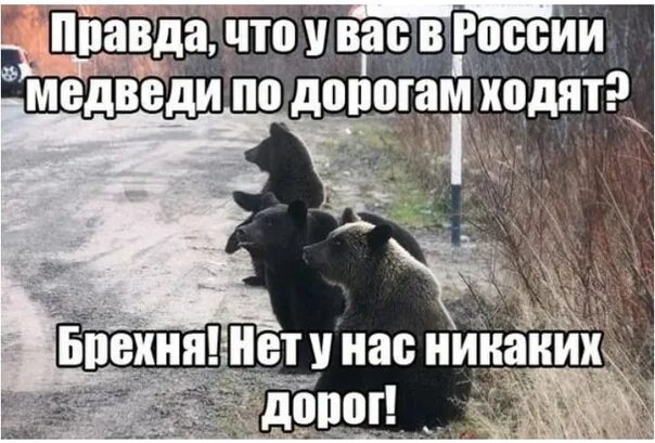 Может его нет. Говорят у вас медведи по дорогам ходят. А правда что у вас медведи по дорогам ходят. Медведи ходят по дорогам. Говорят в России медведи по дорогам ходят.