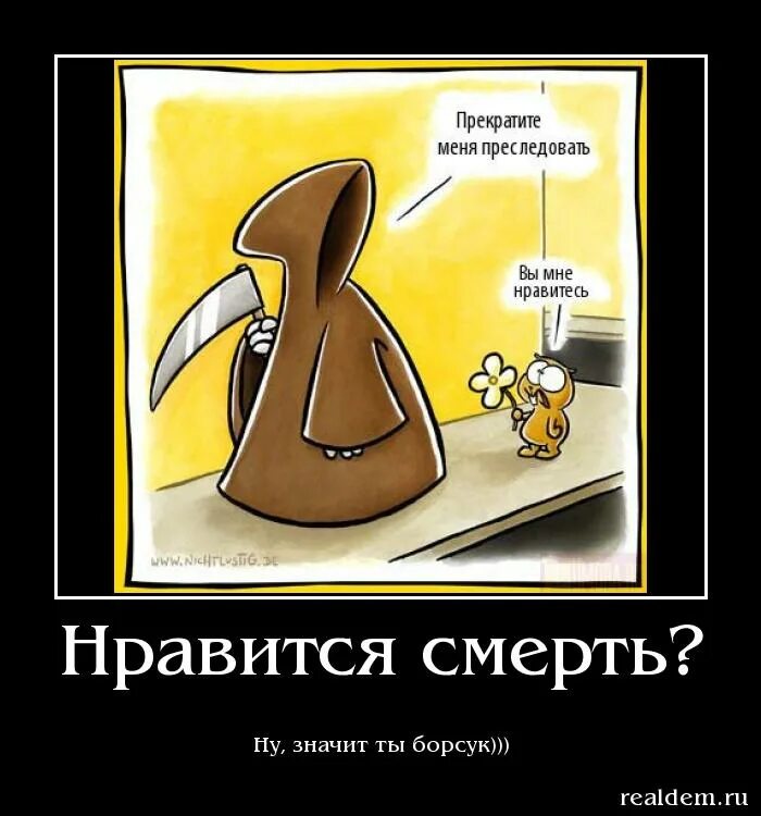 Какие прикажешь