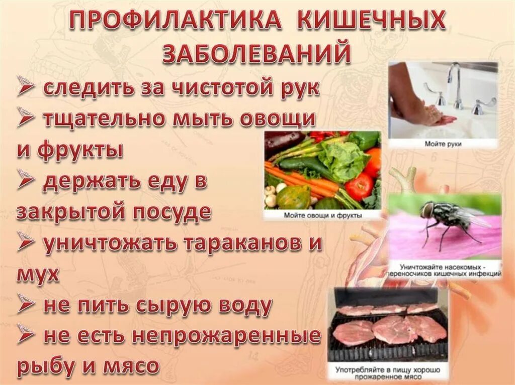 Кишечные инфекции тесты с ответами