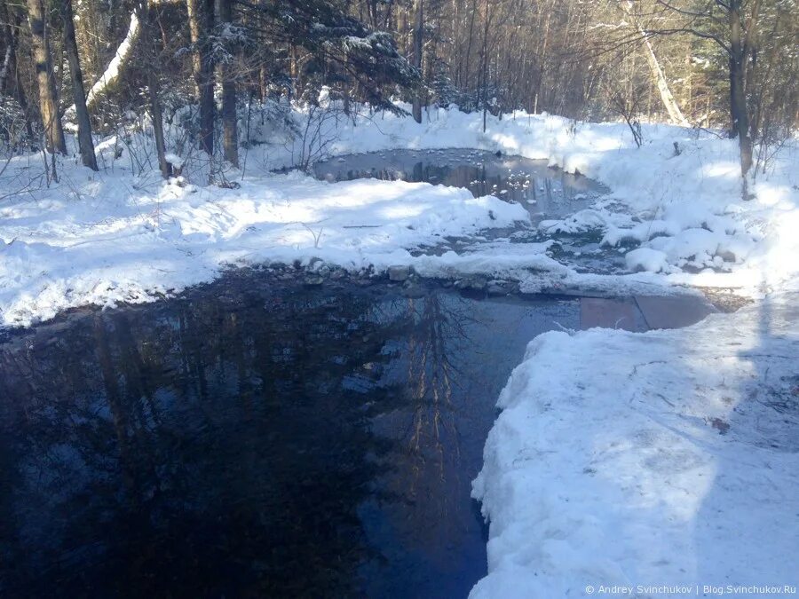 Озеро горное, дуссе-алинь. Вяземский теплый ключ. Горячие источники хабаровский край вяземский. Источник хабаровского края. Горячий источник хабаровский край вяземский район.