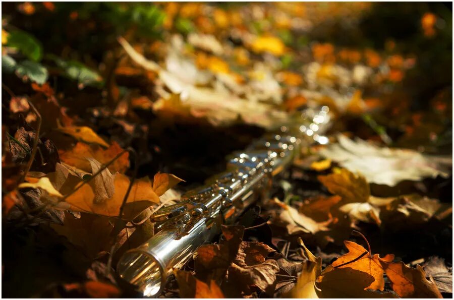 Флейта на природе. Художник елена прудникова осень. Девушка с флейтой. Красивый кларнет. Флейта осень.