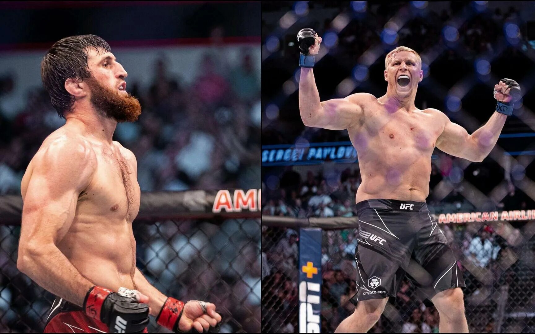 Магомед анкалаев. Юфс полутяжелый вес бойцы. Сергей павлович уфс. Сергей павлович мма. Анкалаев магомед блахович.