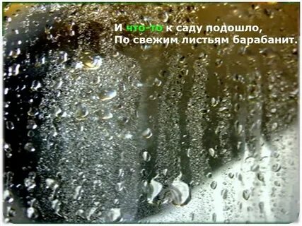 Дождь подойди