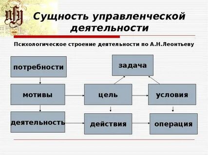 Сущность и структура деятельности человека