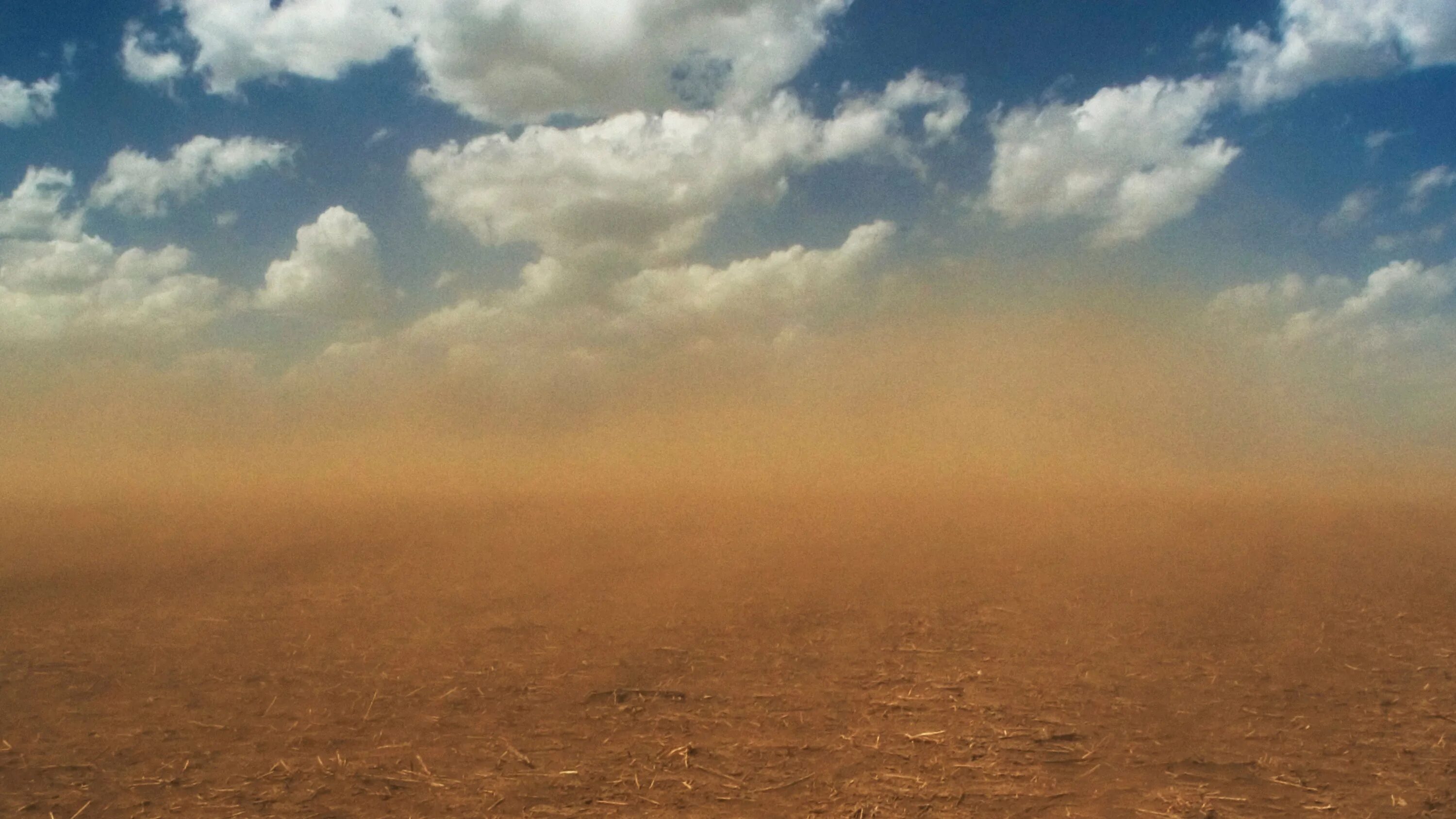 Ветер гонит пыль. Ветер в пустыне. Пыльная буря. Суховей в пустыне. Буря в пустыне.