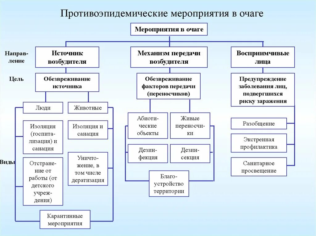 Организация санитарной группы. Противоэпидемические мероприятия схема. Алгоритм противоэпидемических мероприятий. Алгоритм составление планов противоэпидемических мероприятий. Комплекс профилактических мероприятий в эпидемиологическом очаге..