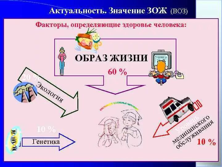 Значение здоровья образ жизни