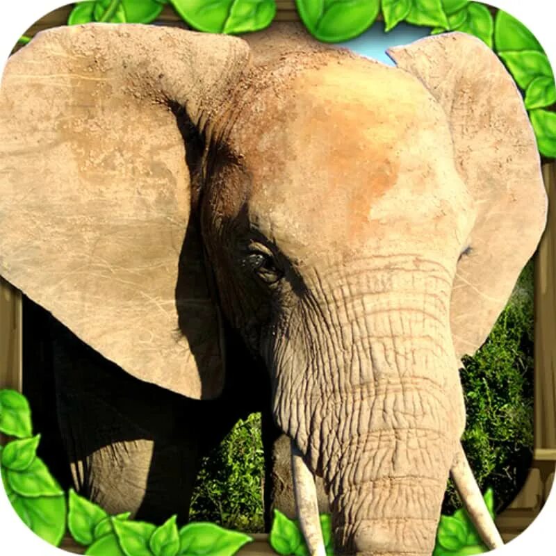 Поставь elephant. Симулятор слона. Ультимейт Элефант симулятор. Жизнь слонов мир природы. Ultimate Африка Simulator слон.