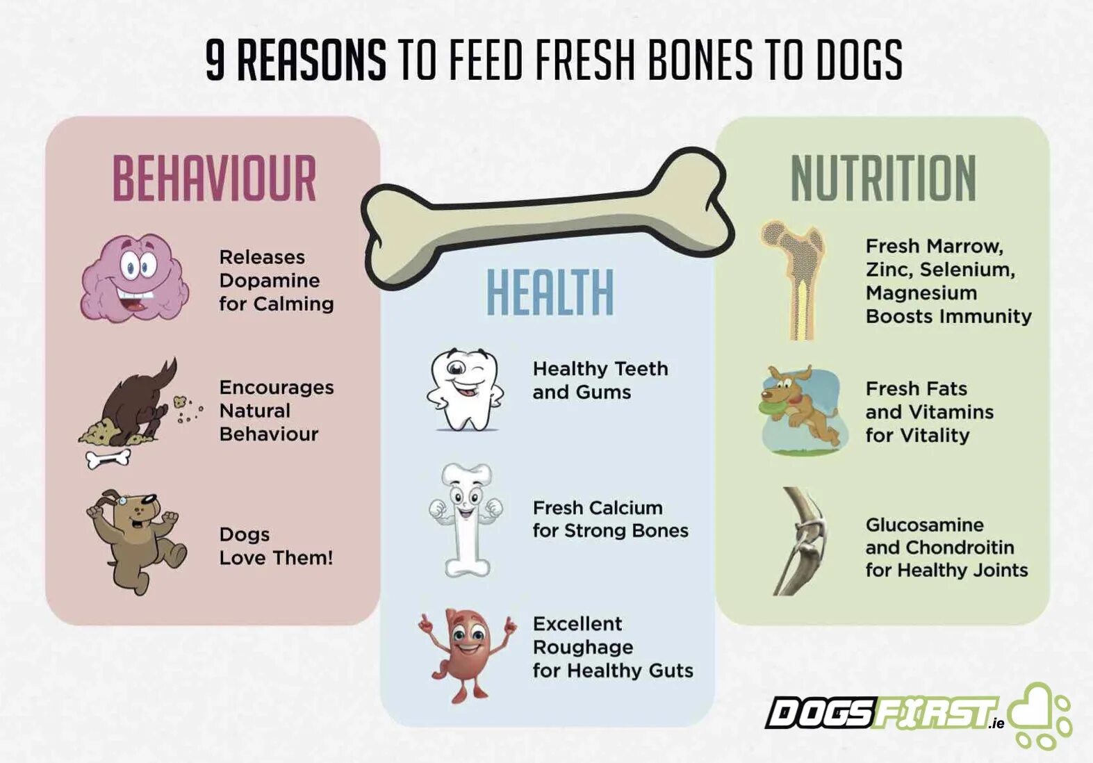 Bones how. The dog and the bone текст. как называется по русскому eat bone. dogs like bones перевод на русский. count for kids bones for dogs.