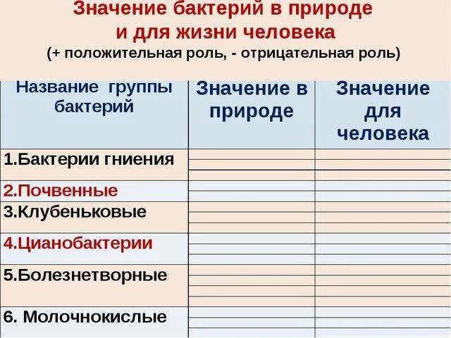 Роль бактерий в природе и жизни человека 5 класс биология таблица. Биология 5 класс значение бактерий в природе и для человека таблица. Таблица по биологии пятый класс значение бактерий. Значение бактерий таблица.