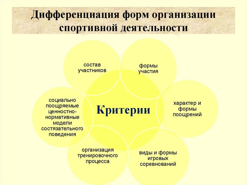 Формы организации спортивной деятельности. Дифференциация фирм. Организационные формы спорта. Формы дифференциации.