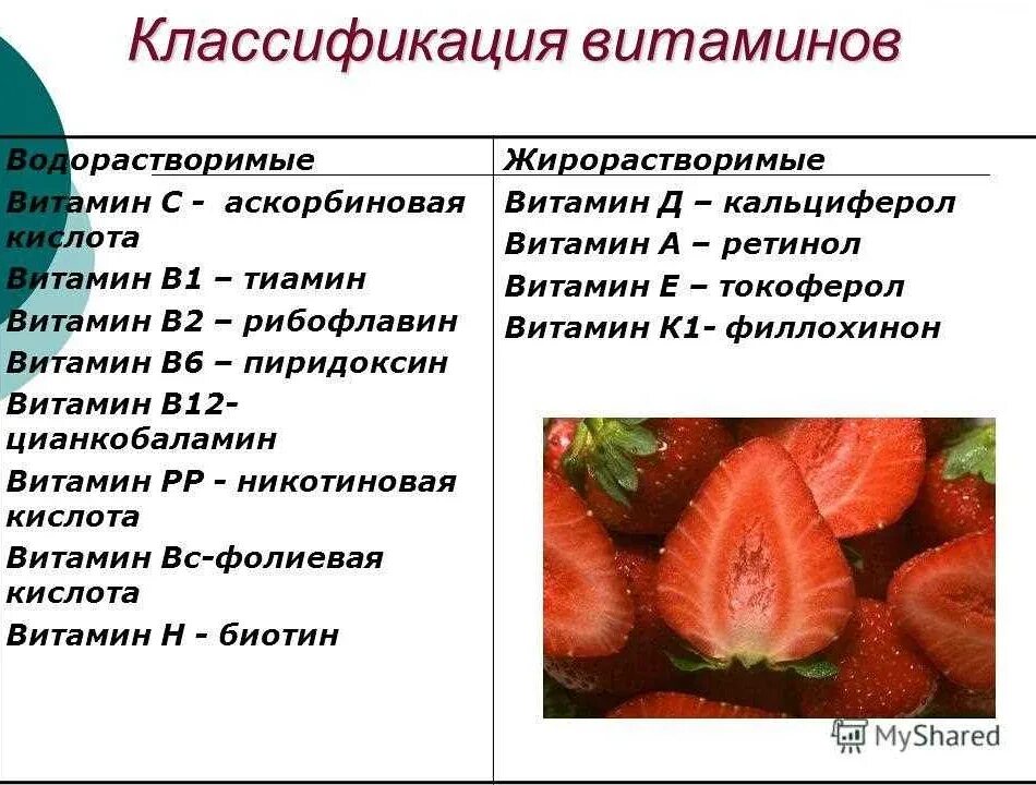 Симптомы дефицита е. Признаки авитаминоза и гиповитаминоза витамина в1. проявление авитаминоза при недостатке витамина к. аскорбиновая кислота классификация витаминов. симптомы гиповитаминоза витамина в1.