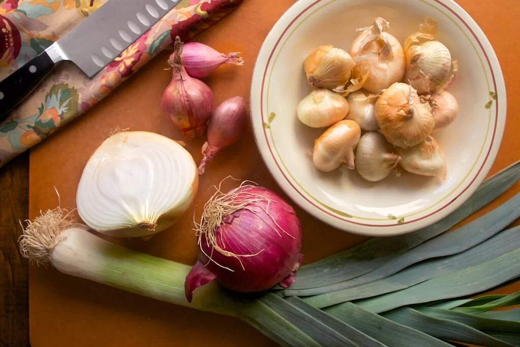 Лук репчатый. Ред барон. Какой лук сладкий. Лук репчатый севок ред барон. Лук эксибишен красный.