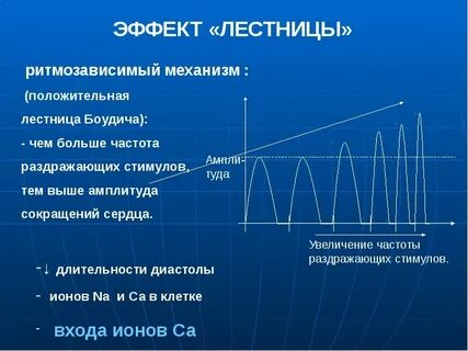 Частота работы сердца человека