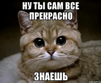 Она сама не знаешь