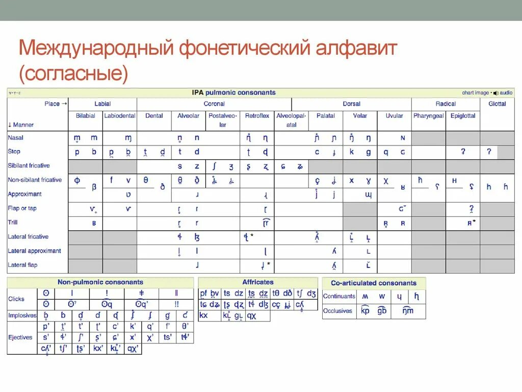 Международная транскрипция. Международный фонетический алфавит ipa таблица. таблица согласных звуков мфа. международная таблица транскрипции. фонетическая таблица согласных мфа русский язык.