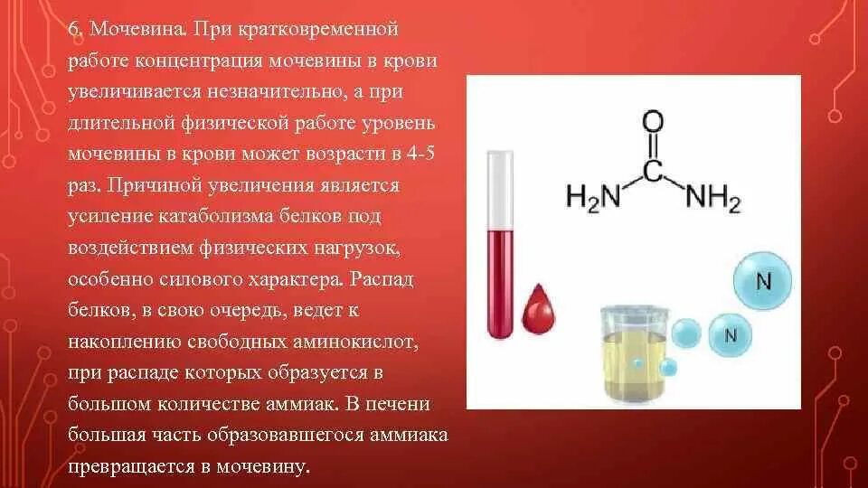 Определение мочевины выше нормы. Определение мочевины выше нормы