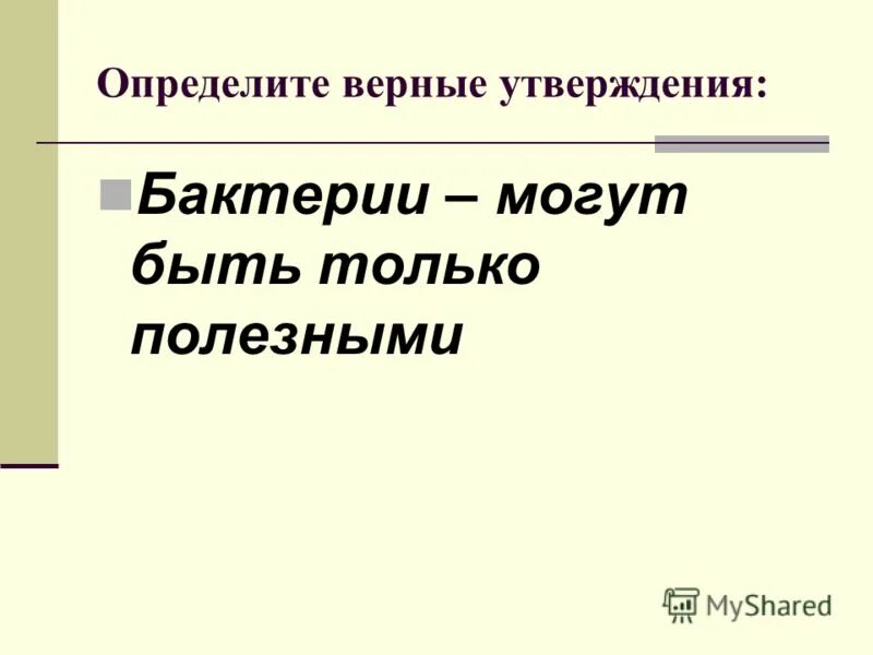 Верное утверждение о бактериях