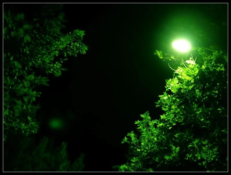 Зеленая Луна. Фонарь с зеленым светом. Под зелёным светом. Таинственный зеленый свет. Есть зеленая луна