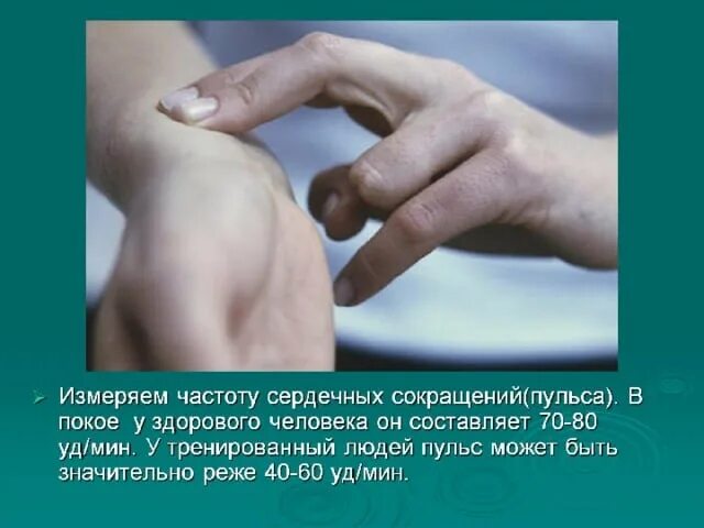 Как измерить пульс в покое. Частота сердечных сокращений в покое. пульс человека. измерить частоту сердечных сокращений. измерение частоты пульса.