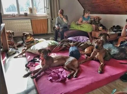 Блат хата