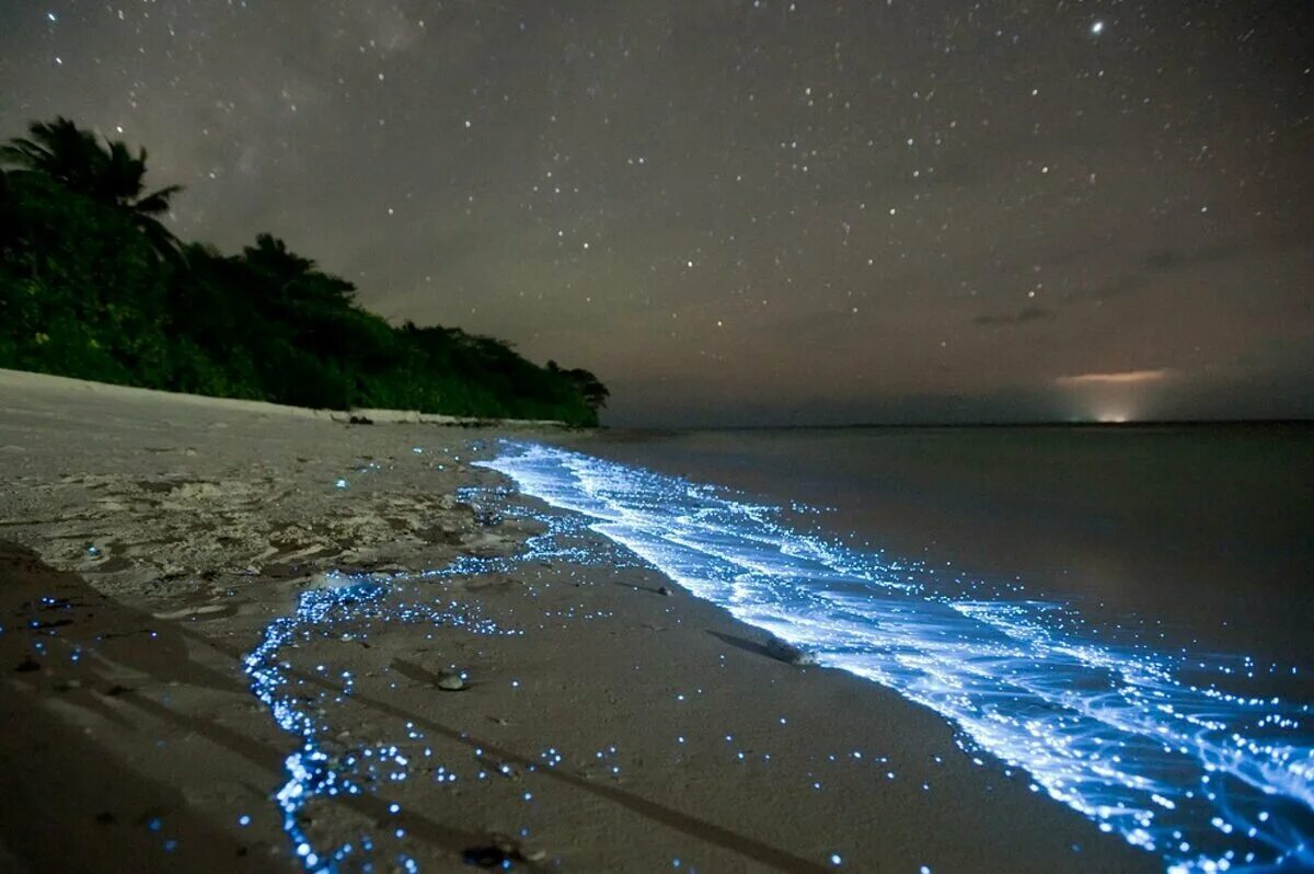 Остров Ваадху Мальдивы. Остров Ваадху, Мальдивы. Планктон. Ваадху Мальдивы светящийся пляж. Биолюминесцентный пляж Мальдивы.