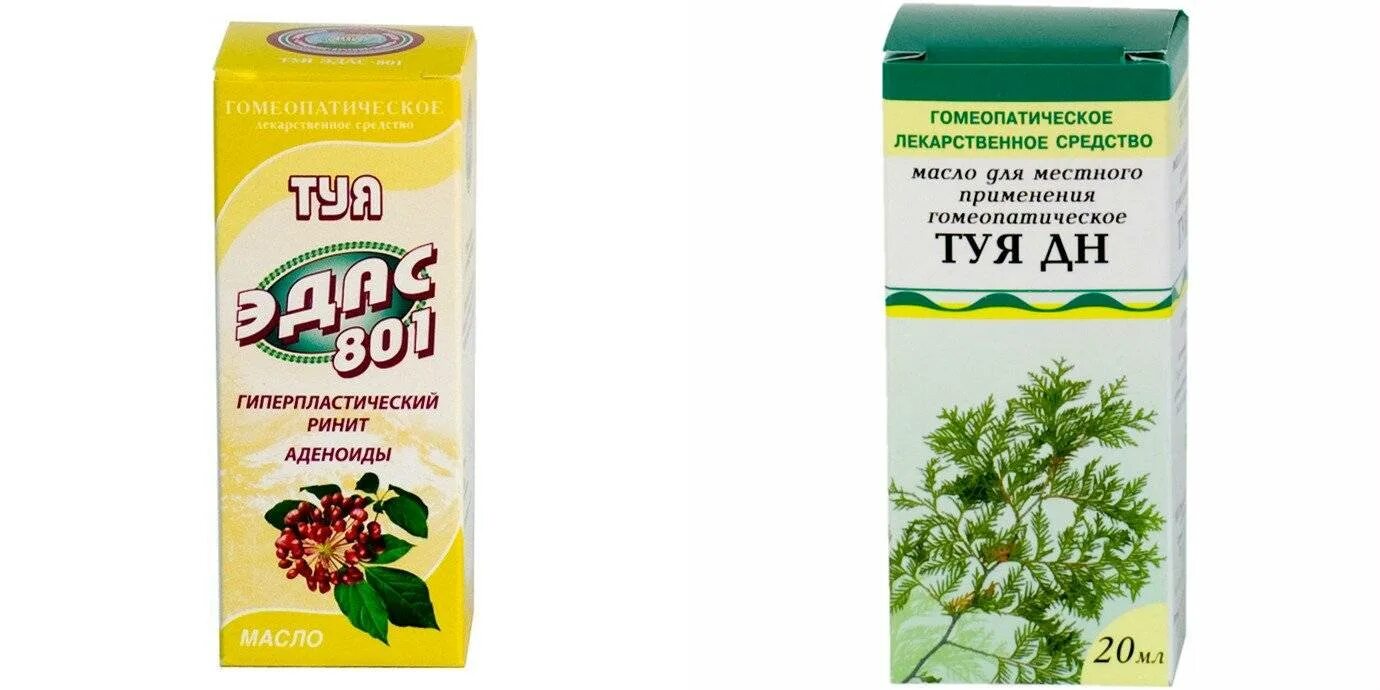 Туя масло от насморка. Капли туи в нос детям. Туя-гф масло наружн. Туя эдас 801. Туя эдас-801 масло гомеопатическое.